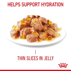 Royal canin ultra amino sale